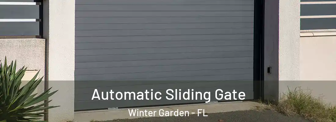 Automatic Sliding Gate Winter Garden - FL