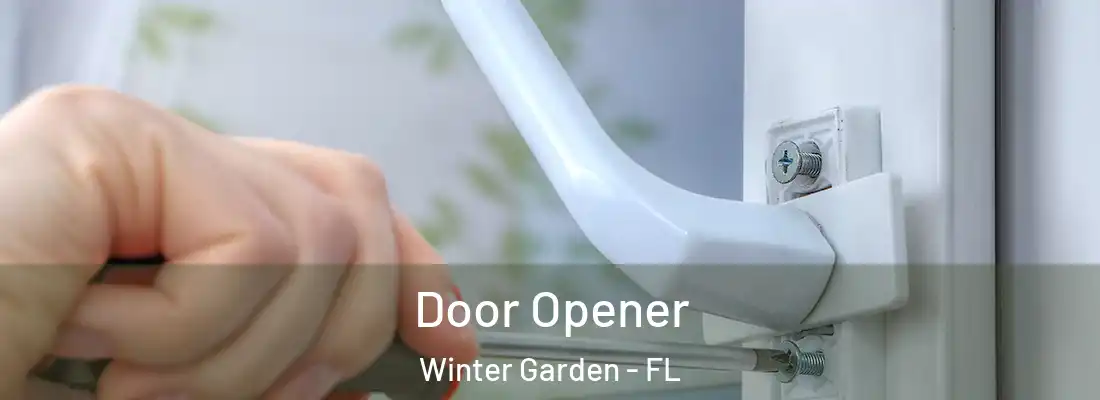Door Opener Winter Garden - FL