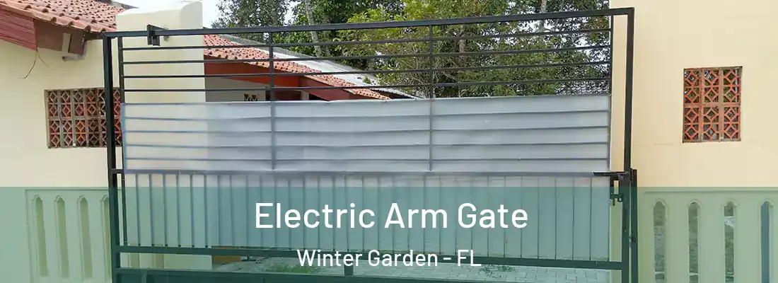 Electric Arm Gate Winter Garden - FL