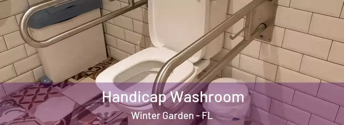 Handicap Washroom Winter Garden - FL