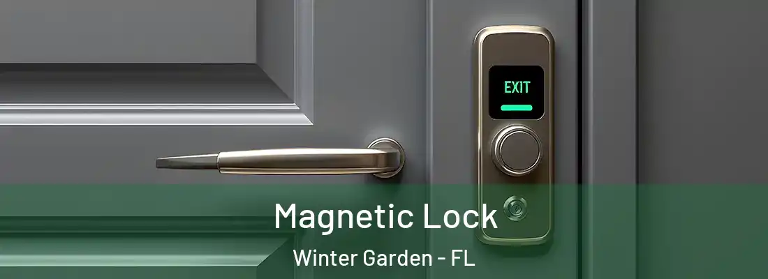 Magnetic Lock Winter Garden - FL